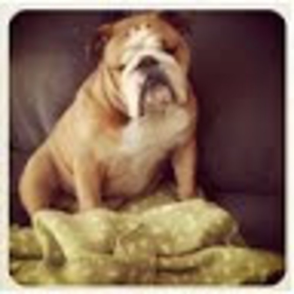 Meet your Posher, Kristyn